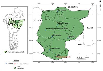 Interactive Effects of Drought-Tolerant Varieties and Fertilizer Microdosing on Maize Yield, Nutrients Use Efficiency, and Profitability in the Sub-Humid Region of Benin